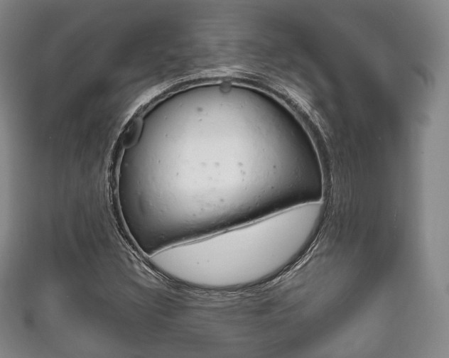 X0000111861308200907231122