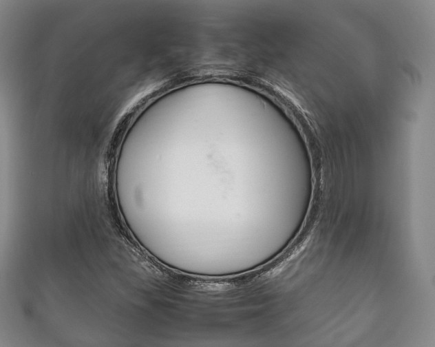 X0000111861309200907231122