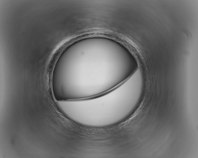 X0000111861310200907231122
