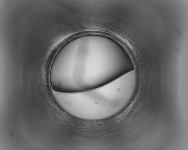 X0000111861311200907231122