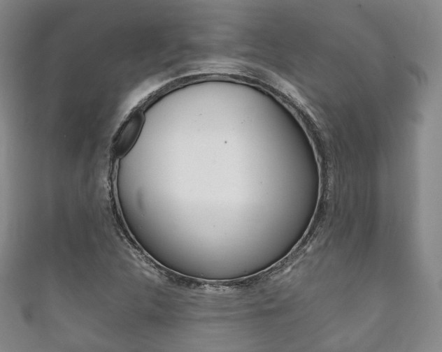 X0000111861312200907231122