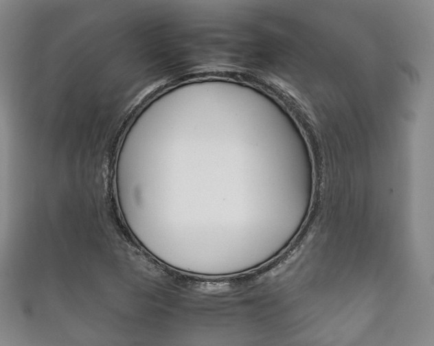 X0000111861313200907231122