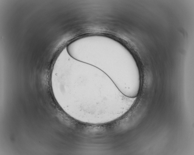 X0000111861314200907231122