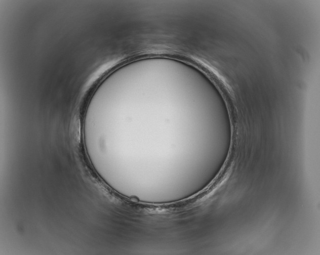 X0000111861317200907231122