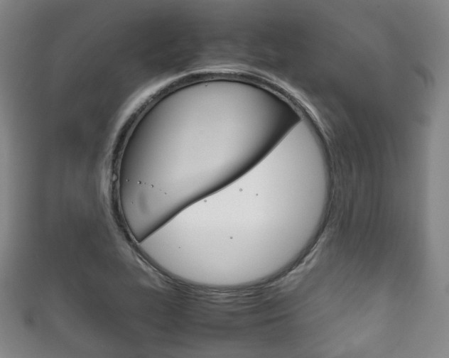 X0000111861319200907231122