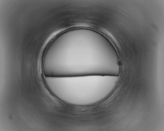 X0000111861323200907231123