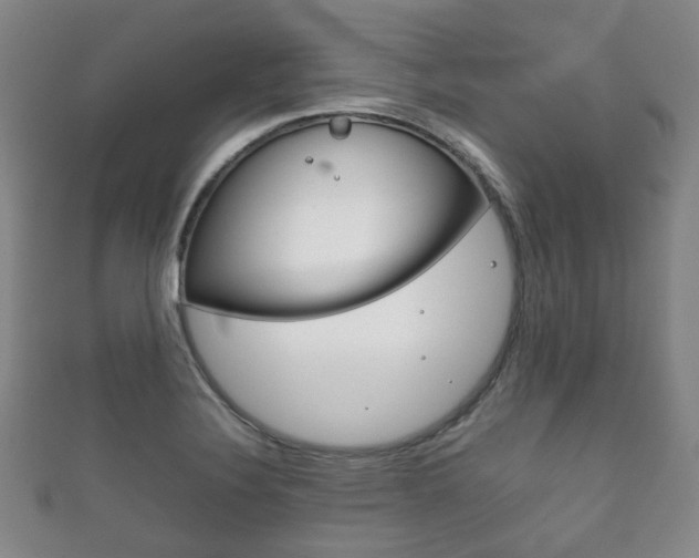 X0000111861324200907231123