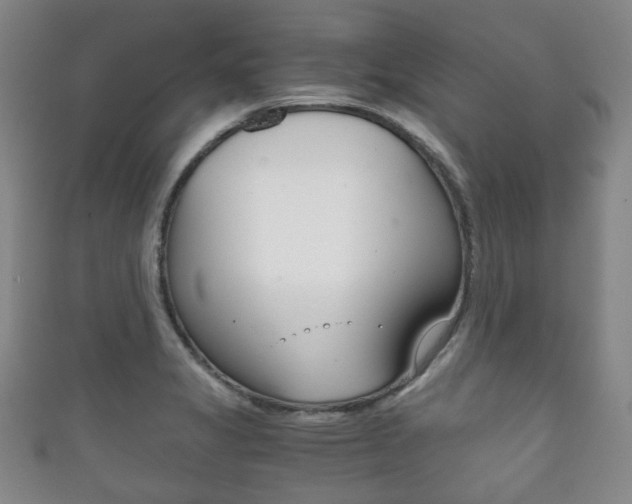 X0000111861325200907231123