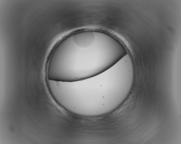 X0000111861327200907231123