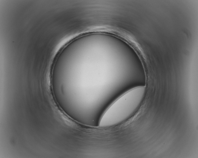 X0000111861328200907231123