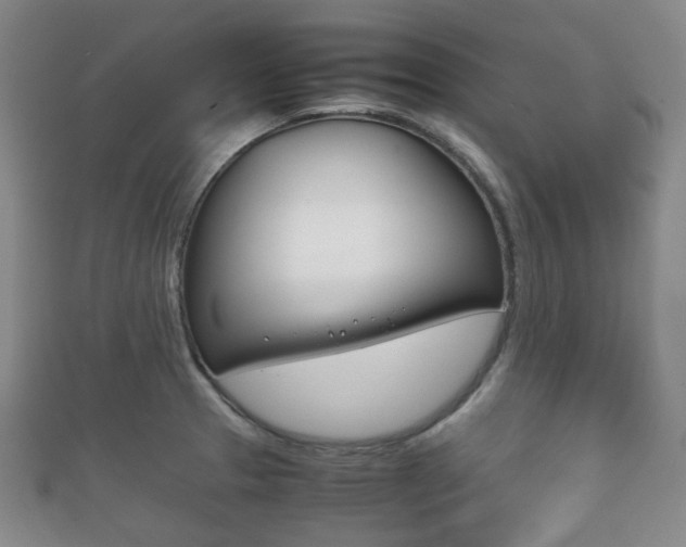 X0000111861329200907231123