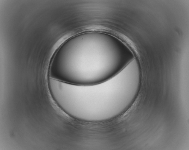 X0000111861330200907231123
