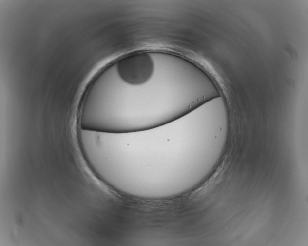 X0000111861331200907231123