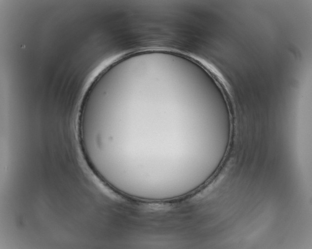 X0000111861333200907231123
