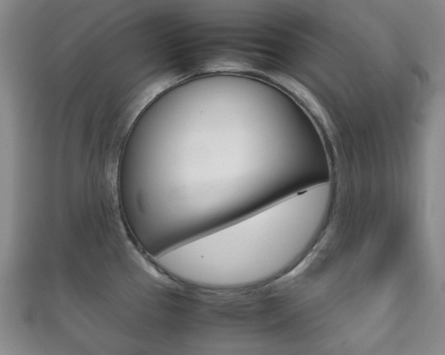 X0000111861337200907231123