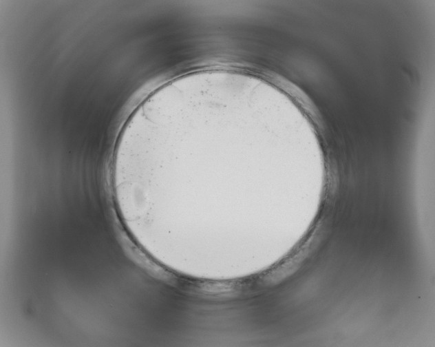 X0000111861338200907231123
