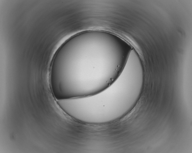 X0000111861340200907231123