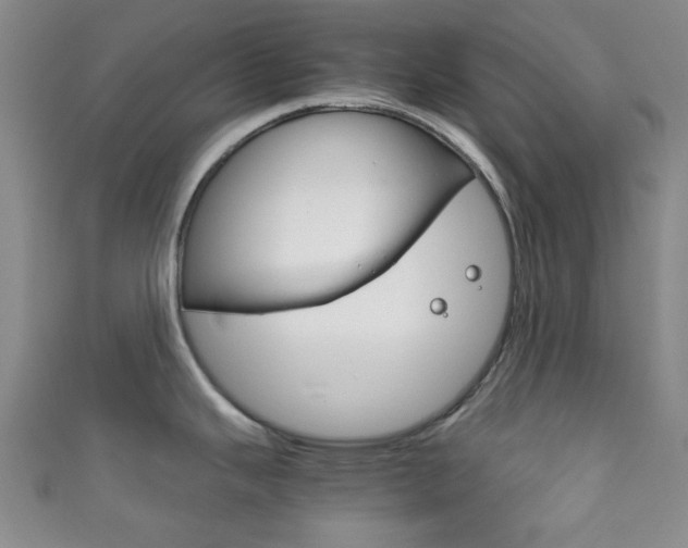 X0000111861343200907231123