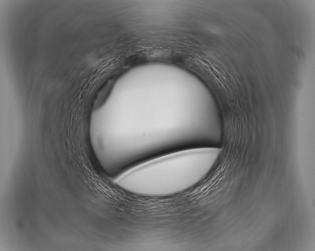 X0000111861345200907231122