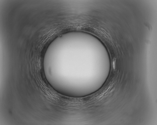 X0000111861347200907231122