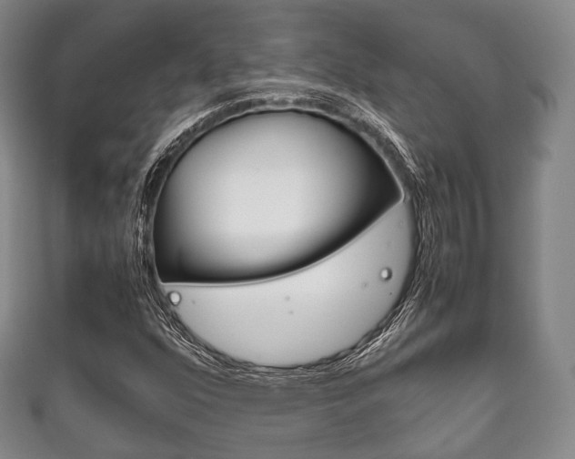 X0000111861352200907231122