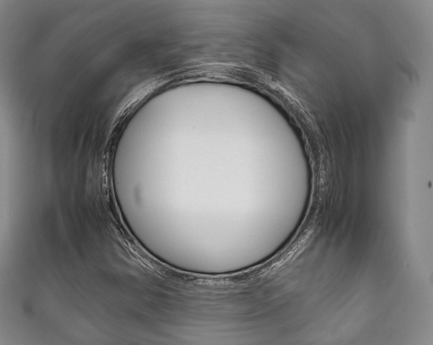 X0000111861354200907231122