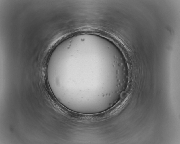 X0000111861355200907231122