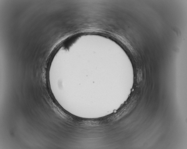 X0000111861356200907231122