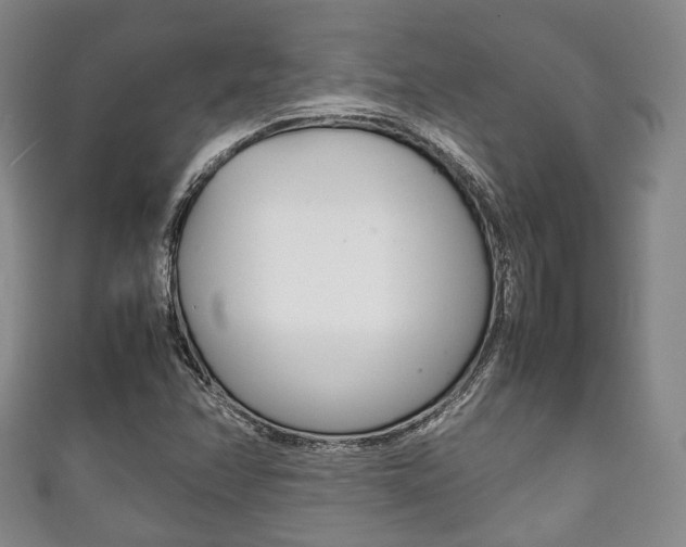 X0000111861358200907231122