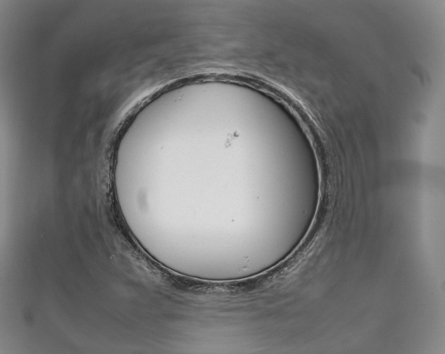 X0000111861359200907231122