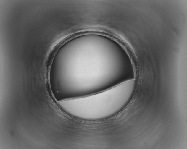 X0000111861360200907231122