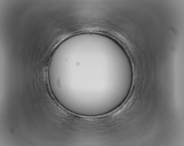 X0000111861361200907231122
