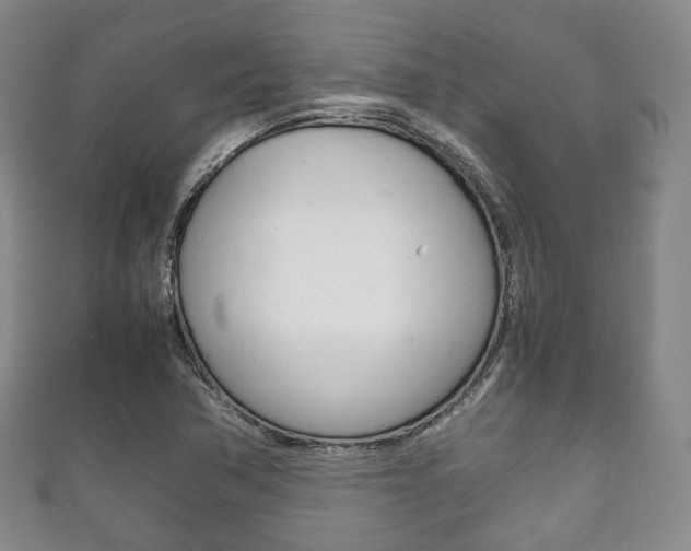 X0000111861362200907231122