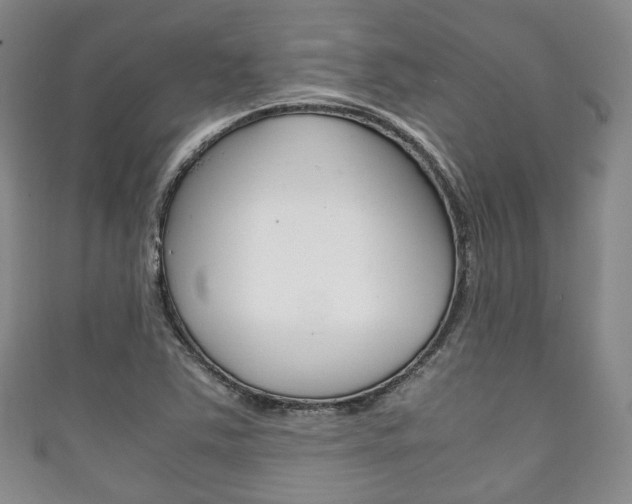 X0000111861363200907231122
