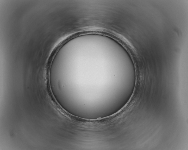 X0000111861364200907231122