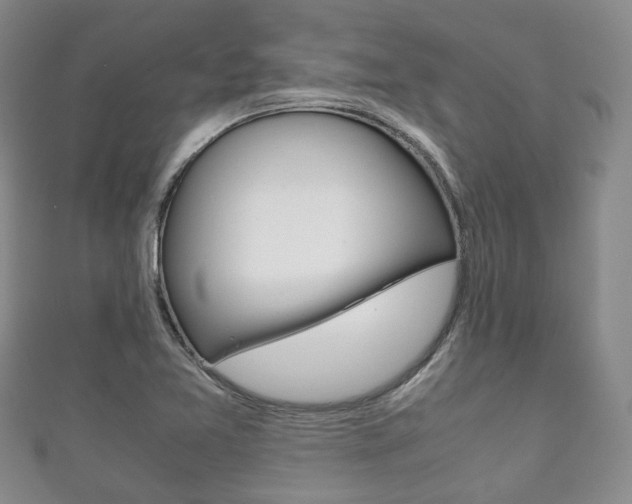 X0000111861365200907231122