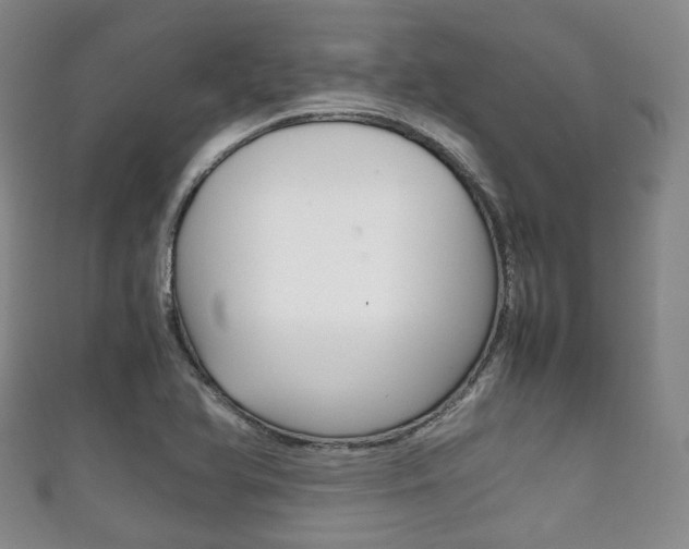 X0000111861366200907231122