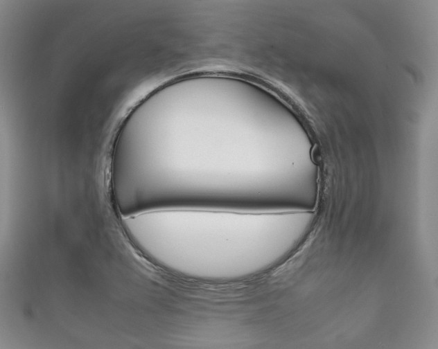 X0000111861367200907231122