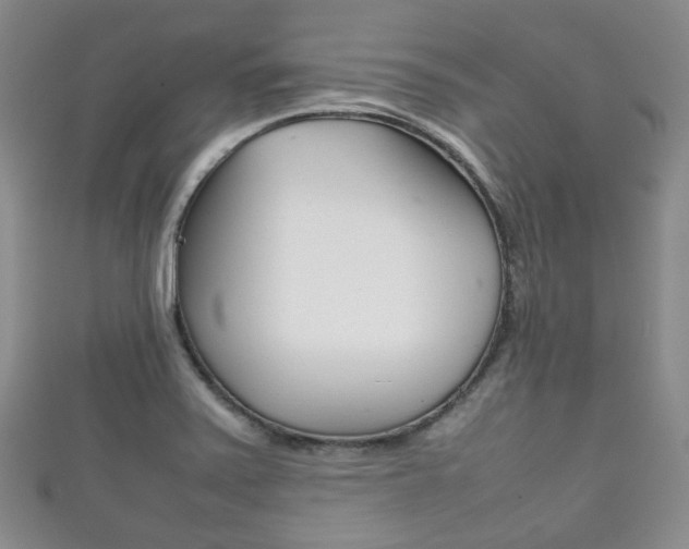 X0000111861371200907231122