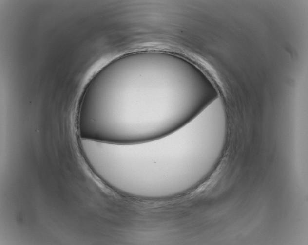 X0000111861373200907231122