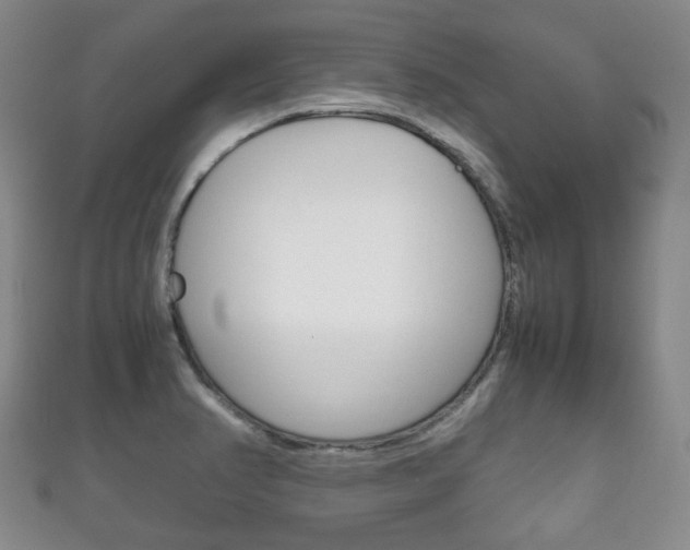 X0000111861374200907231122