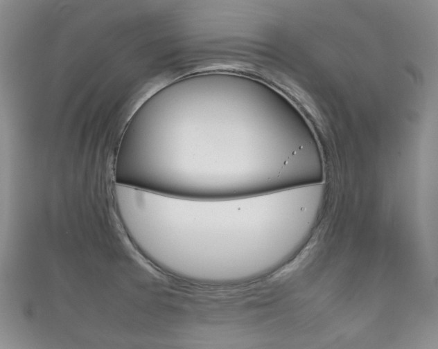 X0000111861377200907231122