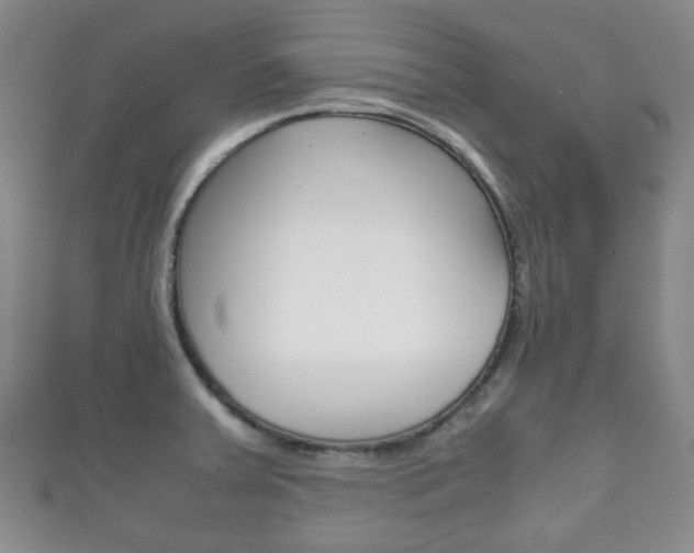X0000111861379200907231122