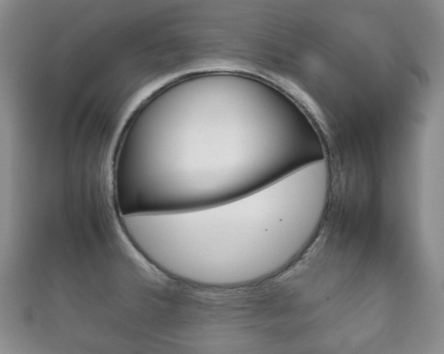 X0000111861380200907231122