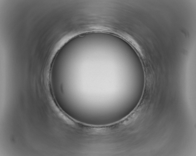X0000111861381200907231122
