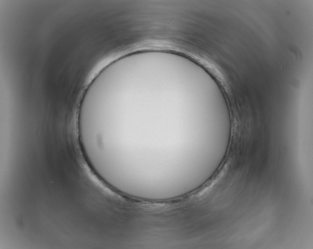 X0000111861382200907231122