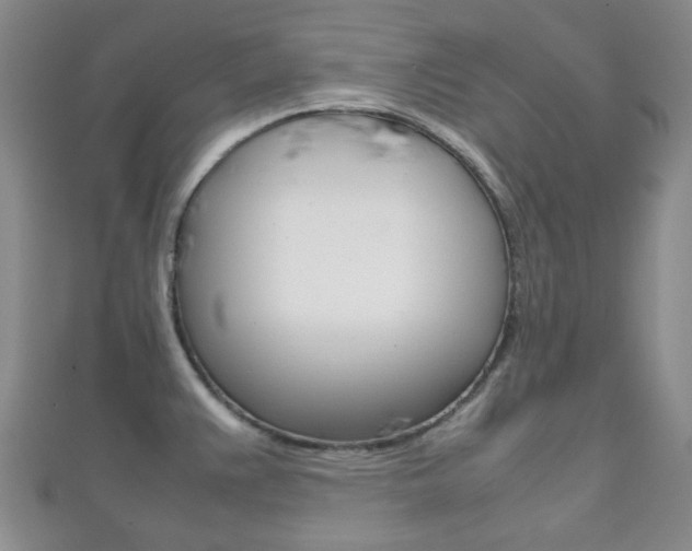 X0000111861383200907231122