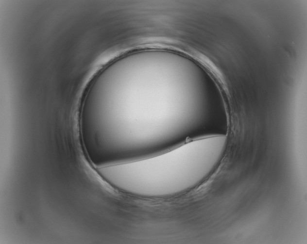 X0000111861384200907231122