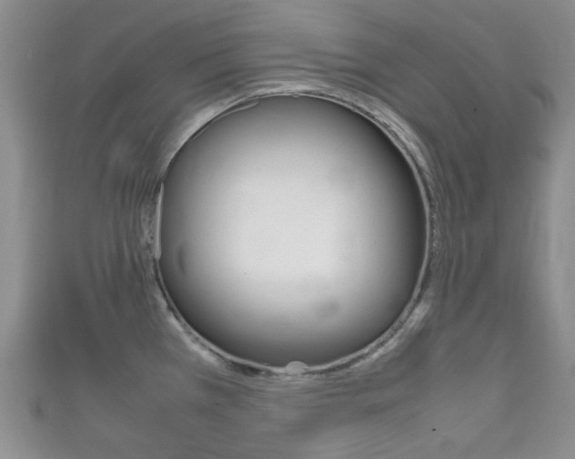 X0000111861385200907231122