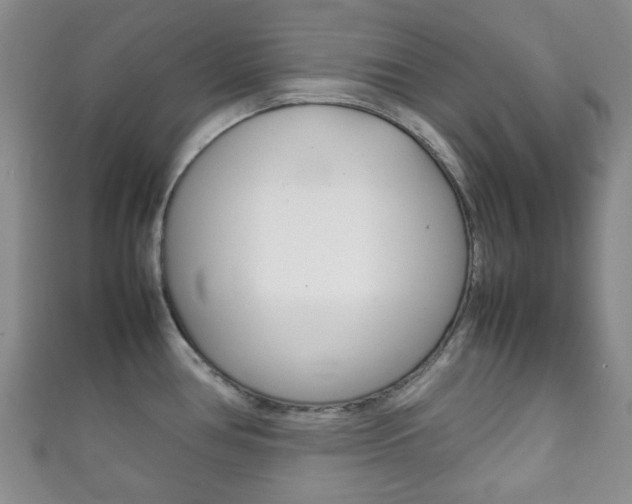 X0000111861386200907231122